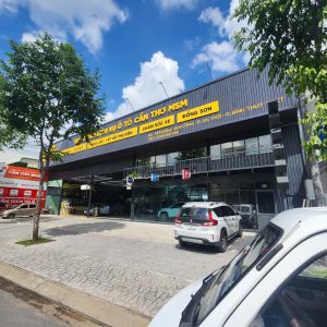 MSM Cần Thơ
